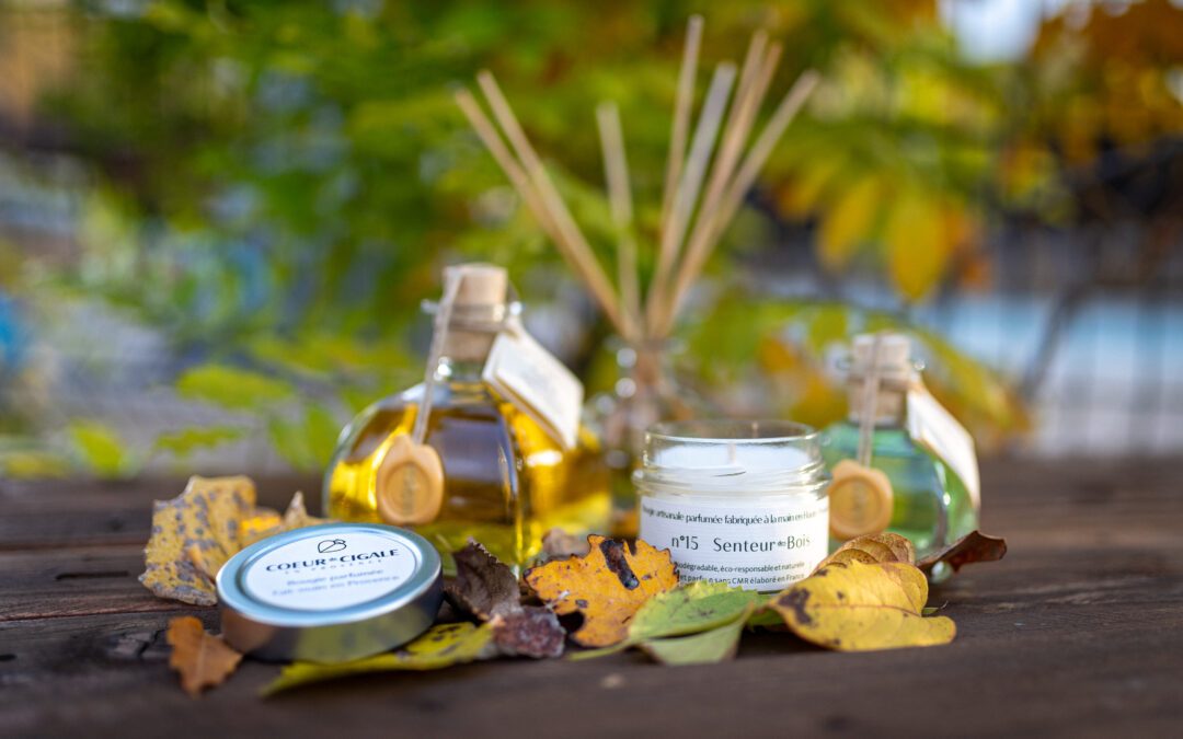 Les bougies de Provence : un artisanat traditionnel emblématique