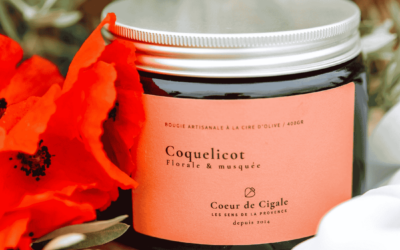 Quels parfums floraux choisir pour votre intérieur au Printemps ?