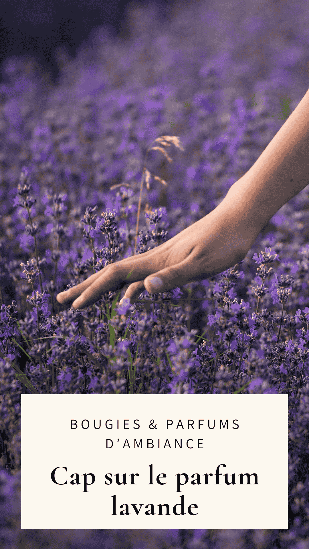 Bougies et parfums d'ambiance Lavande