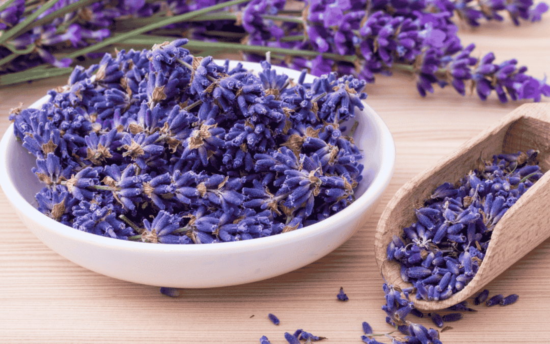 Parfum lavande : 6 créations artisanales que vous allez adorer avoir chez vous !