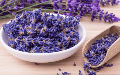 Parfum lavande : 6 créations artisanales que vous allez adorer avoir chez vous !