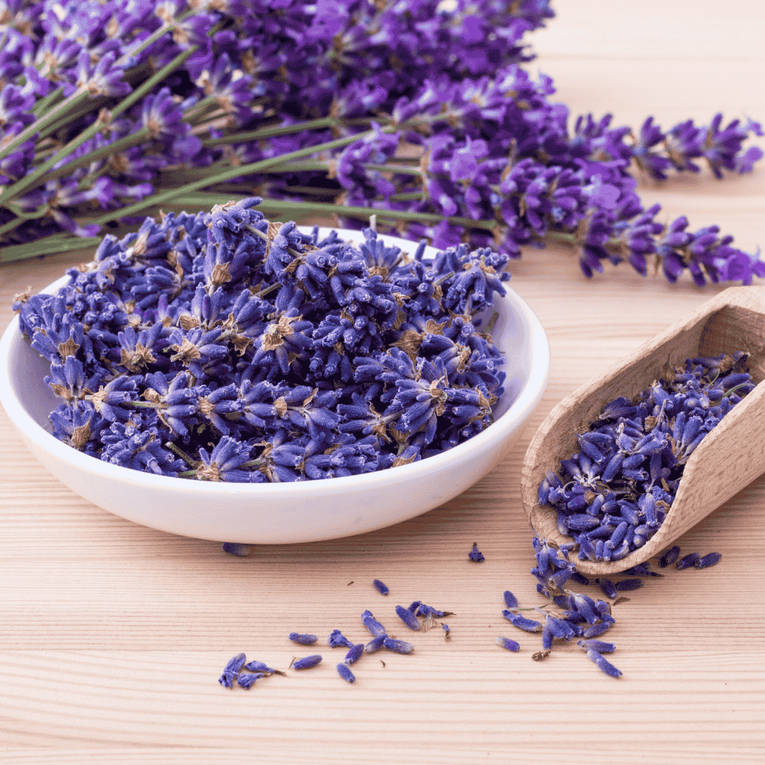 Parfum lavande : 6 créations artisanales pour parfumer la maison
