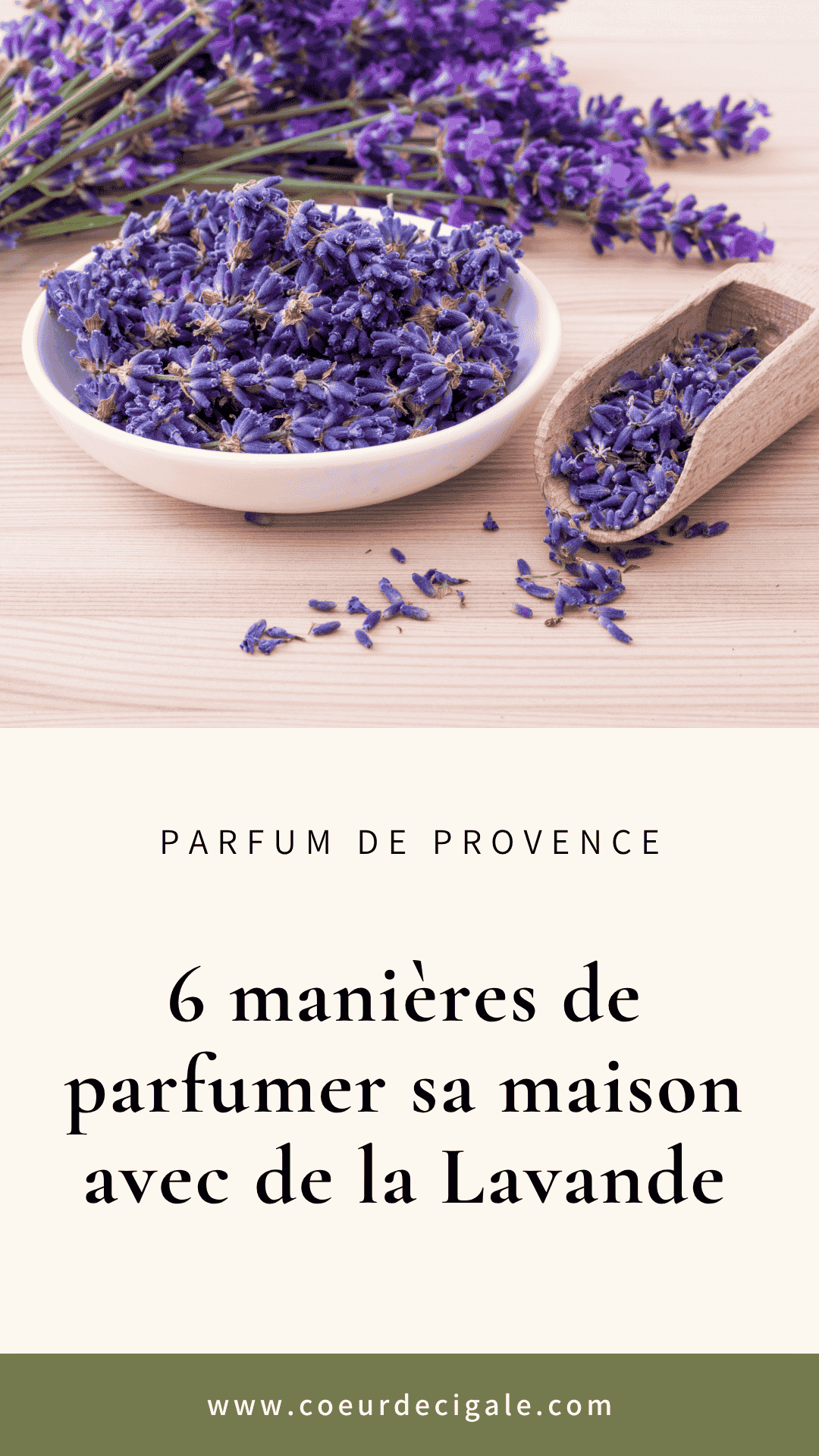 Parfum Lavande : 6 manières de parfumer sa maison